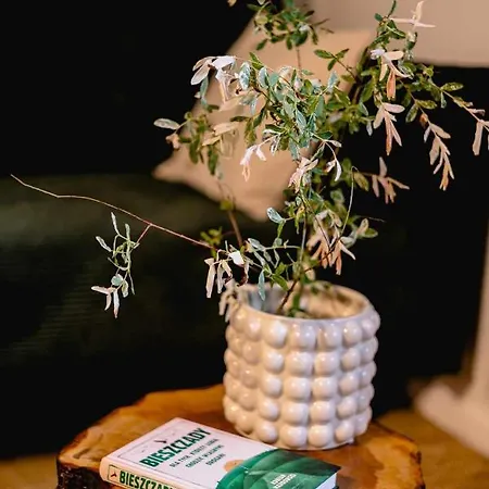 Zabieszczaduj - Apartamenty Do Wynajecia Lutowiska Esterno foto