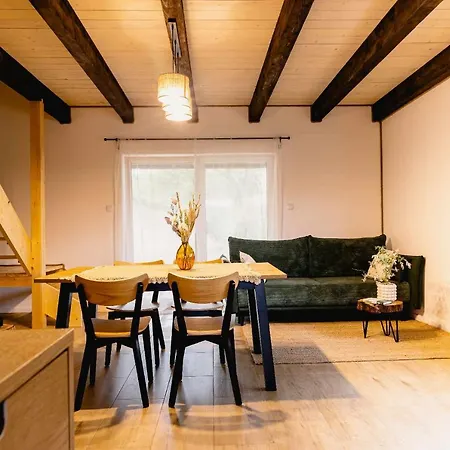 Zabieszczaduj - Apartamenty Do Wynajecia Lutowiska Esterno foto